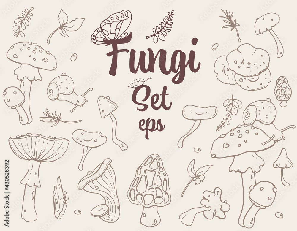 Fungi, Mushrooms retro-style Hand-drawn stroke Set with different cute mushrooms, snail, leaves, and Butterfly. For Textile, Wallpaper, Card design. Autumn mood, Forest life, mushrooms lover.