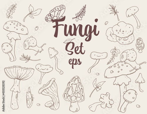 Fungi  Mushrooms retro-style Hand-drawn stroke Set with different cute mushrooms  snail  leaves  and Butterfly. For Textile  Wallpaper  Card design. Autumn mood  Forest life  mushrooms lover.