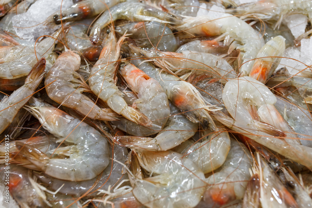 Prawns on ice, shrimp many fresh raw whole chilled, at the fish market.