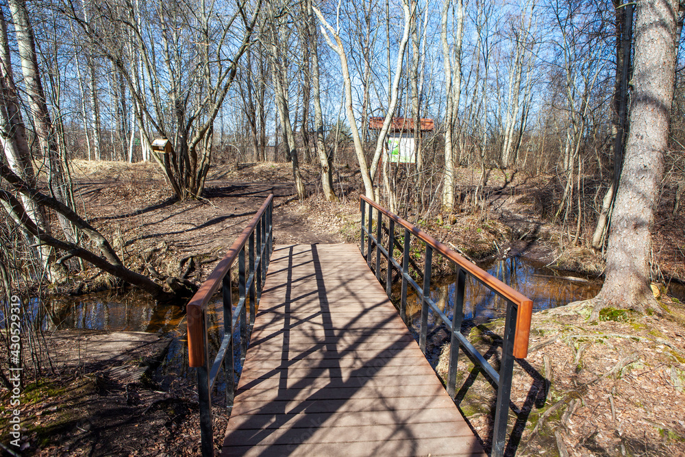 Ecological trail through a brook. State Nature Reserve Sestroretskoe Swamp. Beloostrov. Resort area. St. Petersburg. Russia