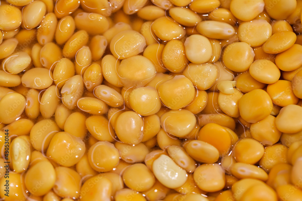 Broad beans yellow cooked in brine marinade a lot in bulk Broad beans yellow cooked in brine marinade a lot in bulk
