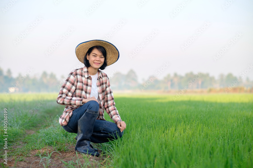 Asian farmer woman sitting at green rice farm
