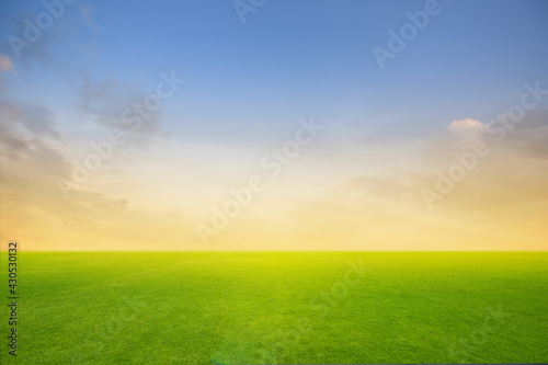 Field of green fresh grass on sunset or sunlight.
