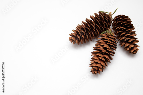 Fir cones isolated on white background