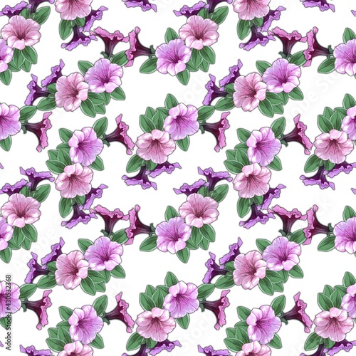 Seamless pattern, Pink petunia flowers on white background