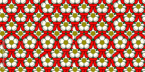 Tudoe rose of Englnd vector illustration.