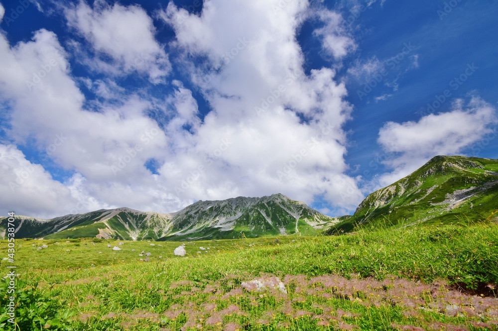 Obraz premium 立山アルパイン 夏景色