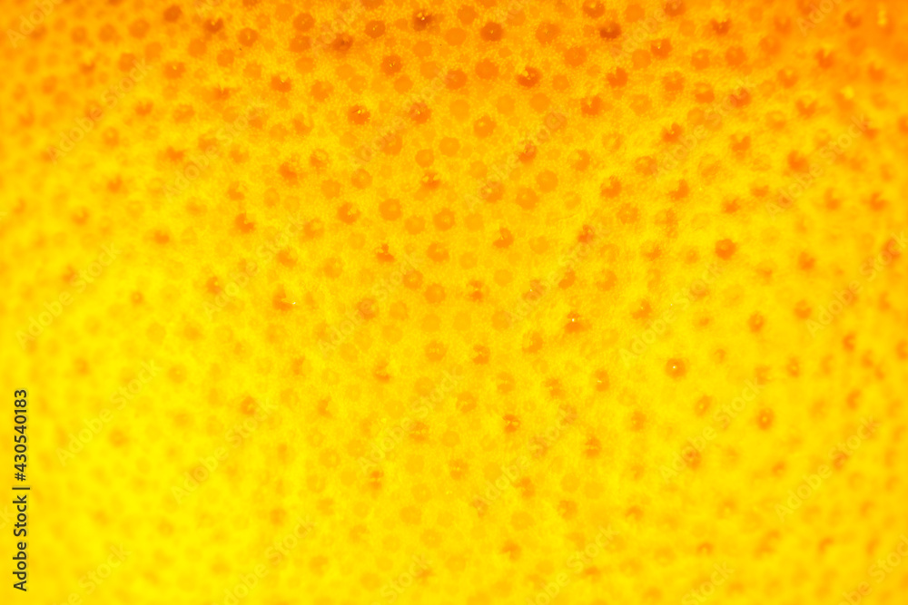 Close up photo of Grapefruit peel texture. Exotic ripe fruit background, macro view. .Human skin problem concept, acne and cellulite. Beautiful nature wallpaper. Close up photo of Grapefruit peel texture. Exotic ripe fruit background, macro view. .Human skin problem concept, acne and cellulite. Beautiful nature wallpaper.