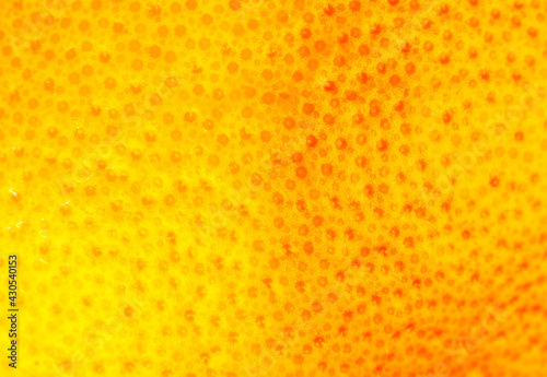 Wallpaper Mural Close up photo of Grapefruit peel texture. Exotic ripe fruit background, macro view. .Human skin problem concept, acne and cellulite.   Beautiful nature wallpaper. Torontodigital.ca