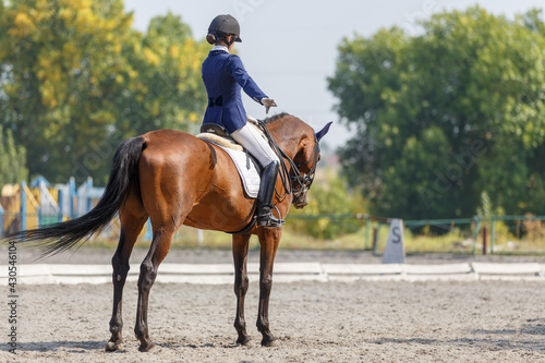 Teenage horse rider girl finish her dressage test © skumer