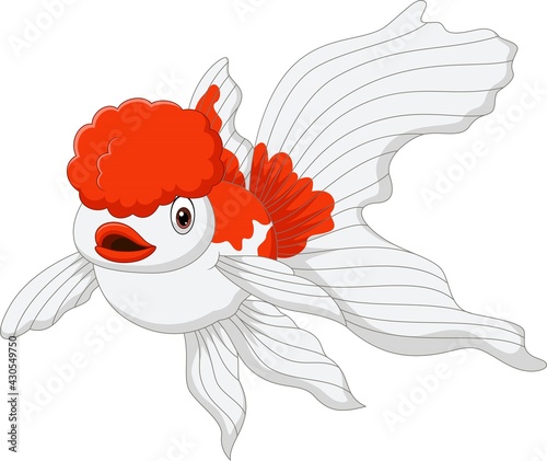 Cartoon oranda goldfish on a white background