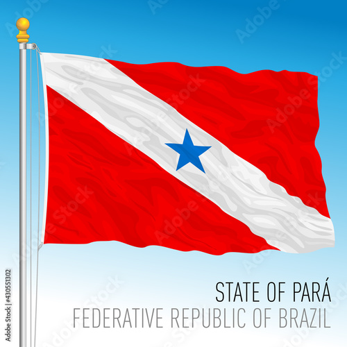 State of Para, official regional flag, Brazil, vector illustration