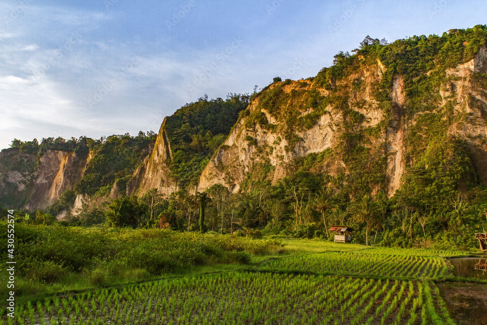 Scenery in West Sumatra