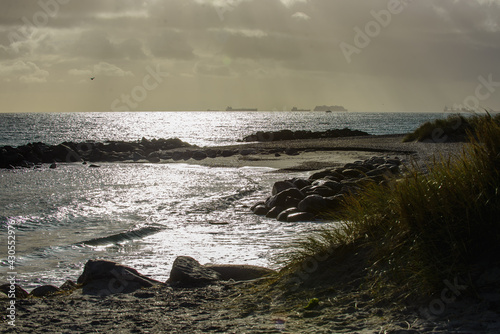 Dunes and beach scene at Vedersoe on the west coast of denmark photo