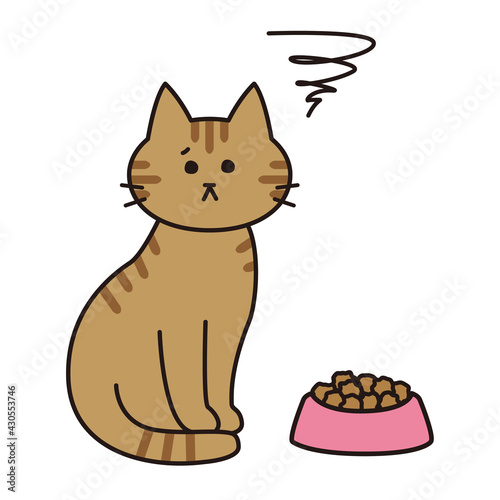 キャットフードに不満がある表情をした茶トラ猫