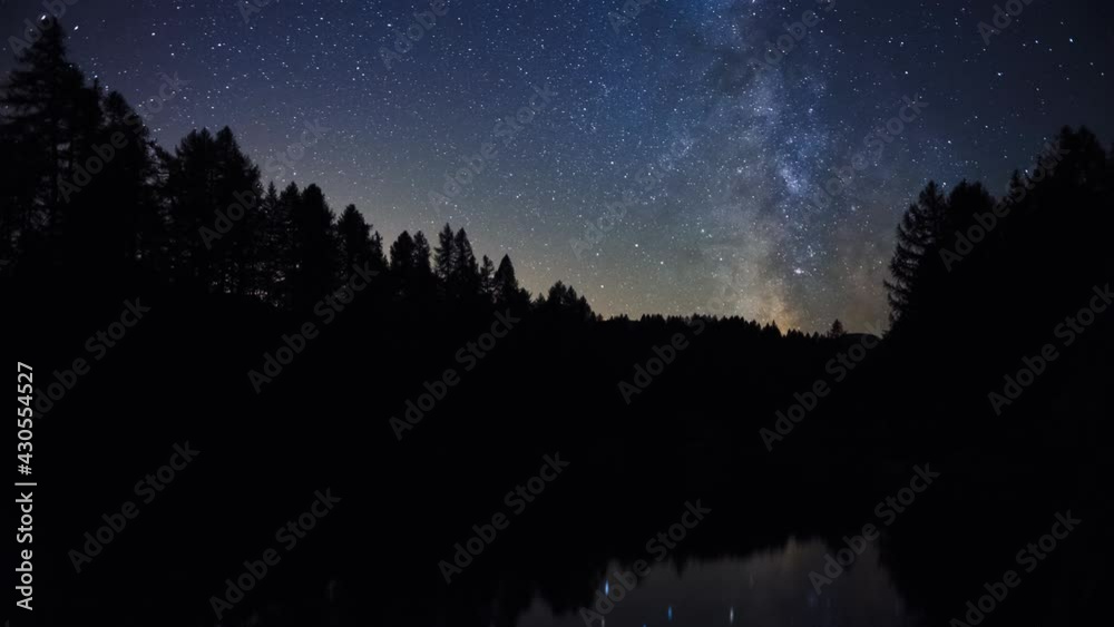Pine forest silhouette reflecting in lake during aurora borealis. stars, colored sky in a beautiful night