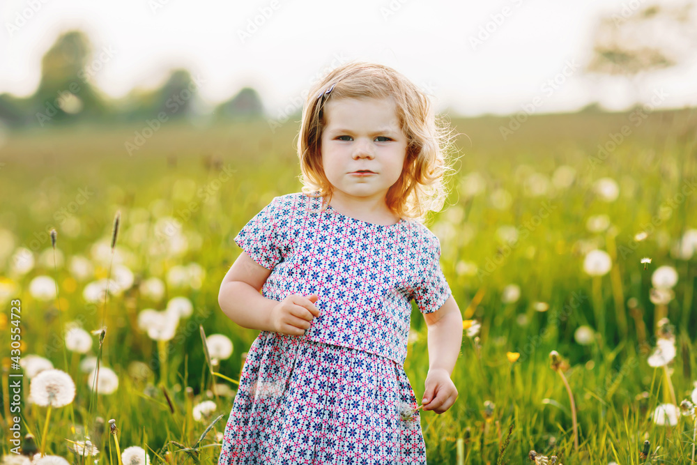 Adorable cute little baby girl blowing on a dandelion flower on the nature in the summer. Happy healthy beautiful toddler child with blowball, having fun. Bright sunset light, active kid. Adorable cute little baby girl blowing on a dandelion flower on the nature in the summer. Happy healthy beautiful toddler child with blowball, having fun. Bright sunset light, active kid.