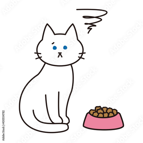 キャットフードに不満がある表情をした白猫