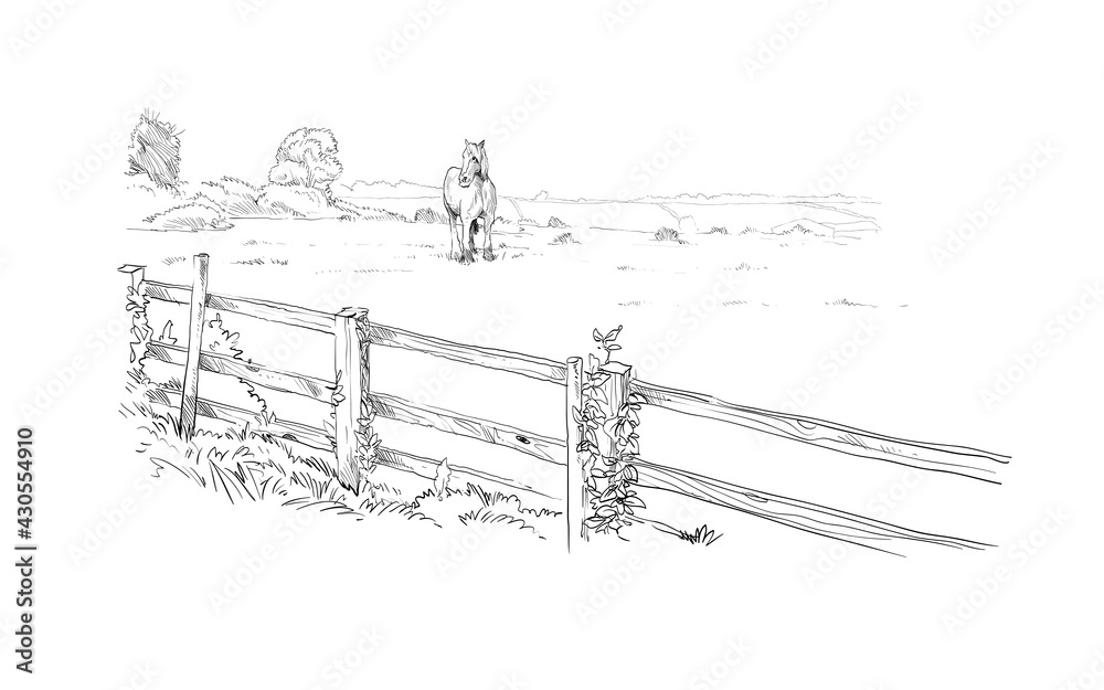 Horse on a meadow. Rural landscape. Farm sketch. Hand drawn vector illustration. 