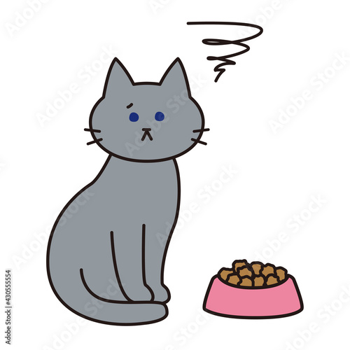 キャットフードに不満がある表情をしたグレーの猫