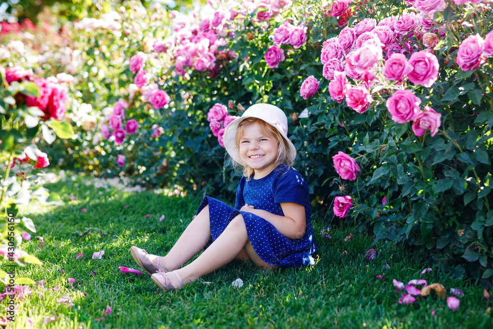 Fototapeta premium Portrait of little toddler girl in blossoming rose garden. Cute beautiful lovely child having fun with roses and flowers in a park on summer sunny day. Happy smiling baby.