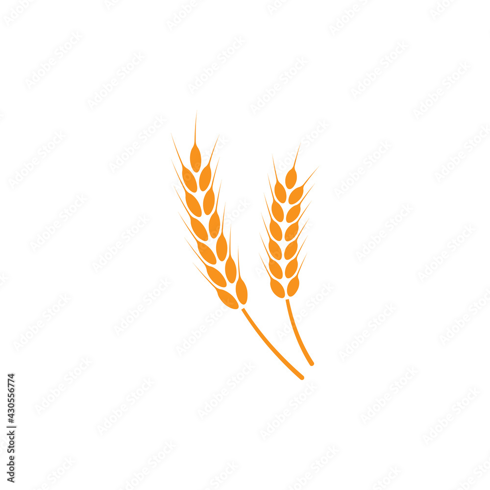 Ears of wheat. Logo. Vector illustration on white isolated background Ears of wheat. Logo. Vector illustration on white isolated background