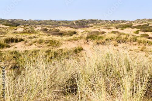 Sand dunes leading to the sea in a beach holiday setting
