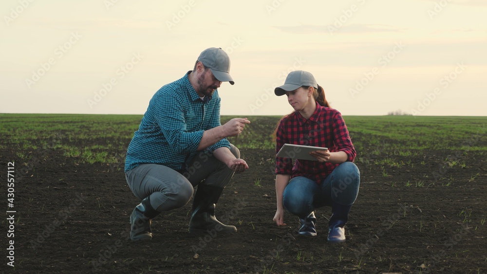 Business man and an agronomist are studying seedlings of crops in field. Business people teamwork. Farmers man, woman work in field with computer tablet. Smart farming technologies in agriculture - obrazy, fototapety, plakaty 
