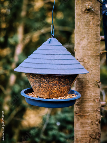 The feeder hangs on the birch tree.A bird feeder hanging in a tree full of assorted grains.