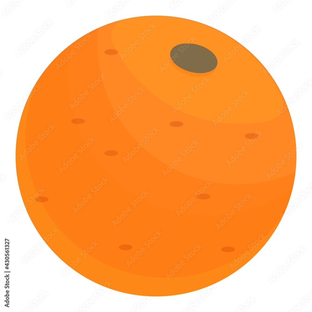 Fototapeta premium Nutrient orange icon. Cartoon of Nutrient orange vector icon for web design isolated on white background