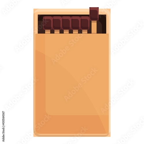 Matches box icon. Cartoon of Matches box vector icon for web design isolated on white background
