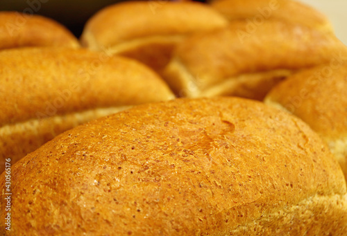 Closeup Rows of Golden Brown Fresh Baked Whole-wheat Bread Loaves