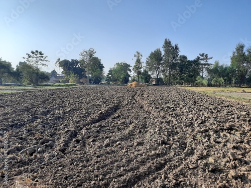 plowed field in the morning