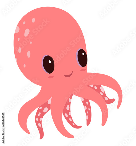 Octopus