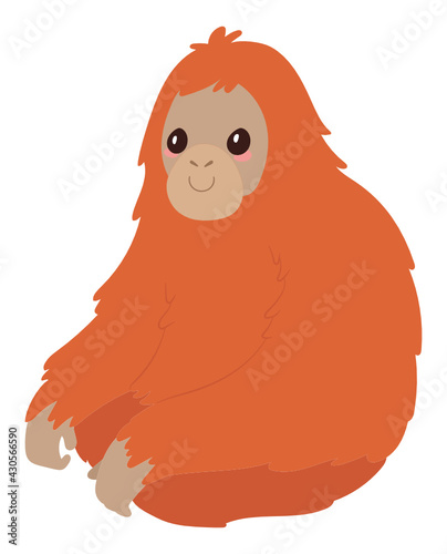 Orangutan