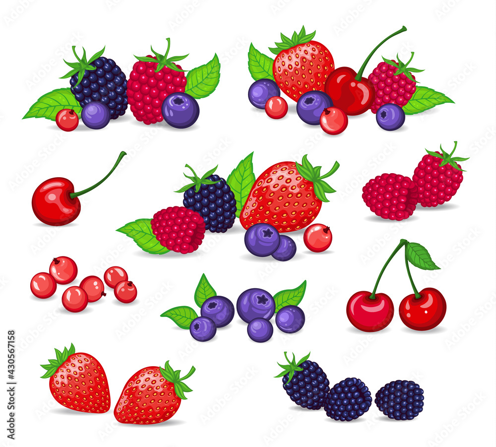 Berries Set Vector Illustration. Strawberry, Blackberry, Blueberry, Cherry, Raspberry, Red currant. Berries and their Combinations Set Berries Set Vector Illustration. Strawberry, Blackberry, Blueberry, Cherry, Raspberry, Red currant. Berries and their Combinations Set