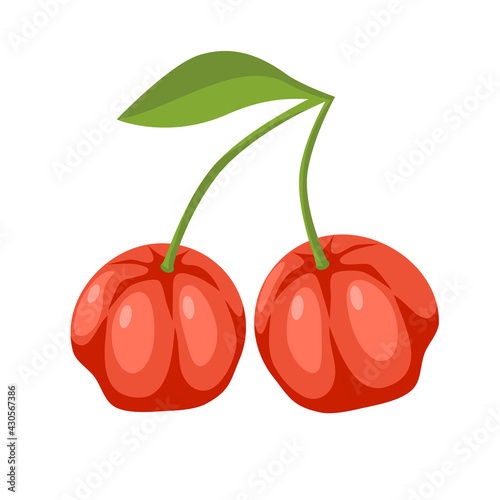 two red acerola cherry berries green leaf hand drawn vector illustration of rich vitamin food isolated on white.