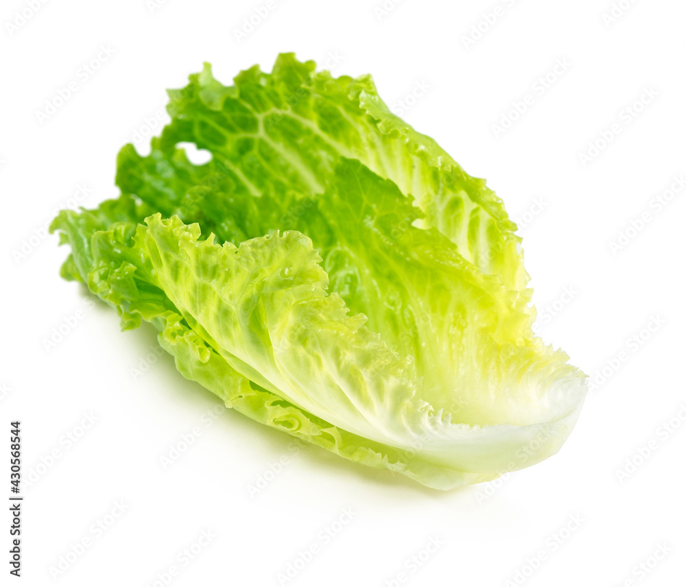 Lettuce leaves isolated on white background Lettuce leaves isolated on white background