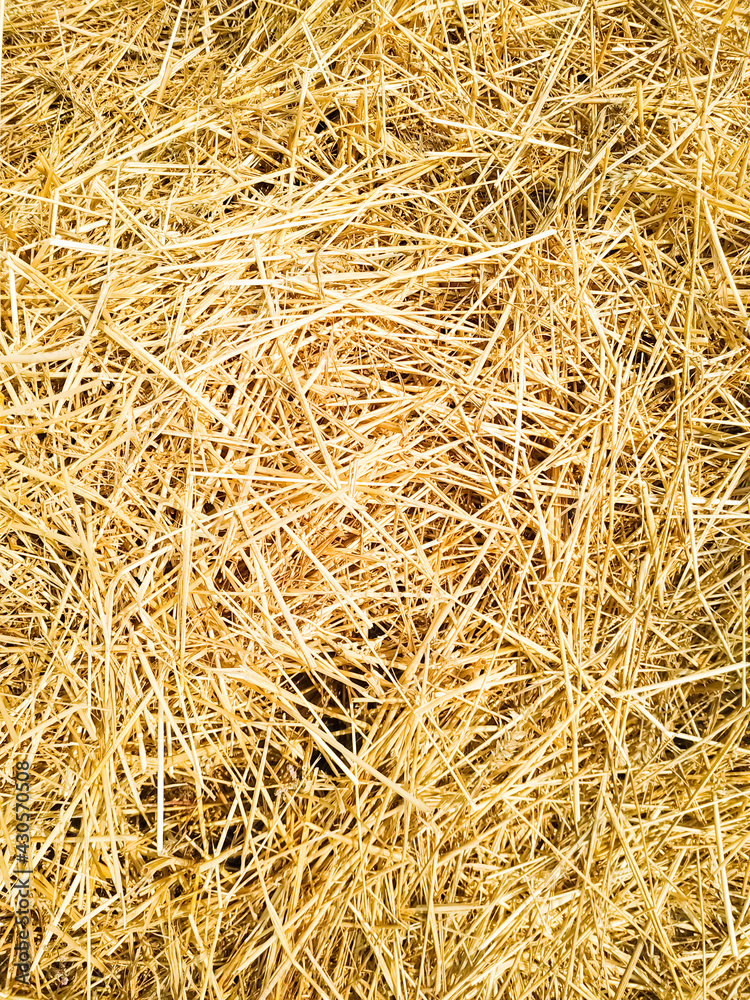 Straw lying in stacks on the field natural texture background yellow Straw lying in stacks on the field natural texture background yellow