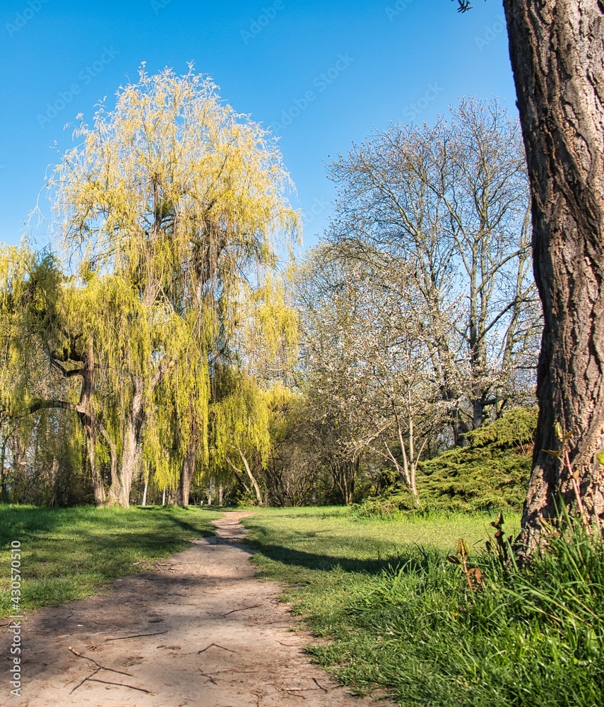 Fototapeta premium Ein Parkspaziergang