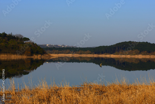 lake view in spring, reflections in the lake.