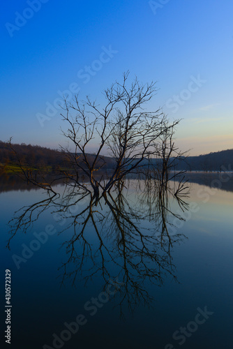 lake view in spring, reflections in the lake.