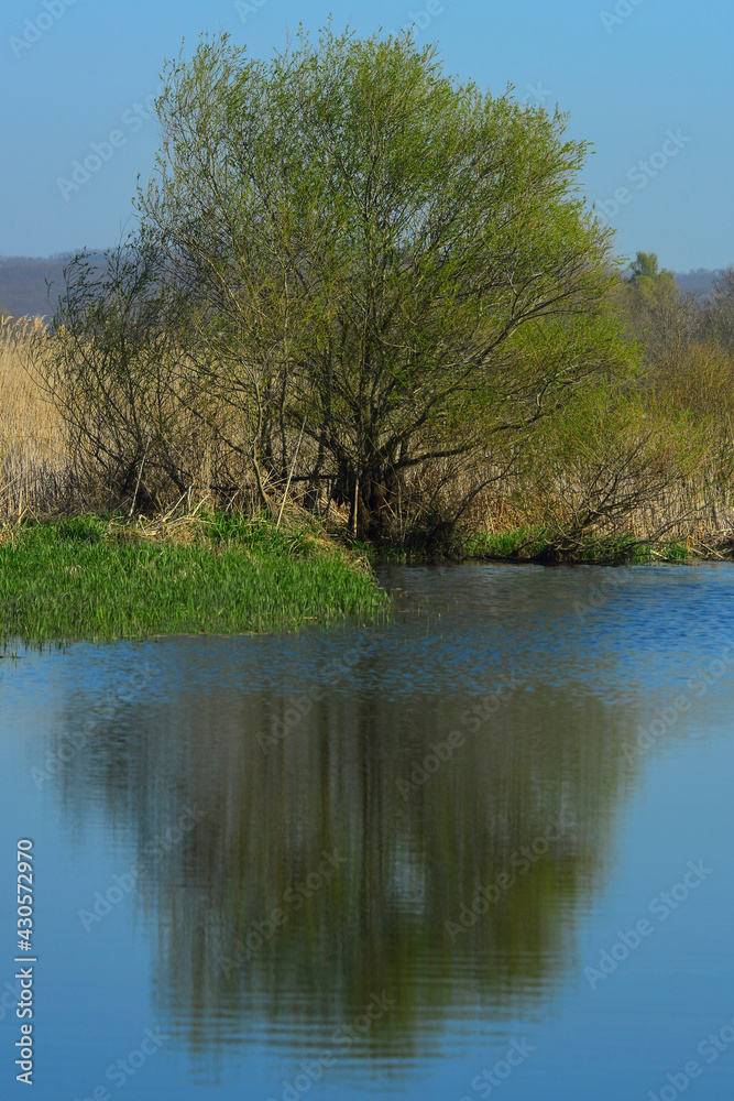 lake view in spring, reflections in the lake. lake view in spring, reflections in the lake.