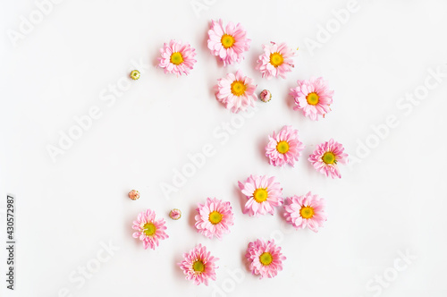 Fototapeta Naklejka Na Ścianę i Meble -  Flowers - pattern on white background.