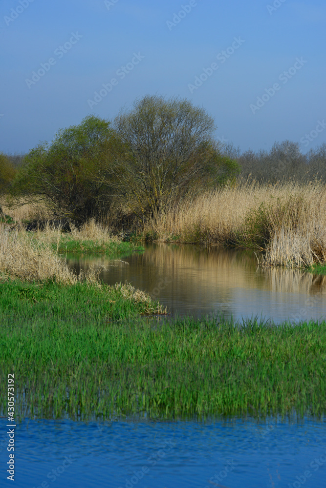 lake view in spring, reflections in the lake. lake view in spring, reflections in the lake.