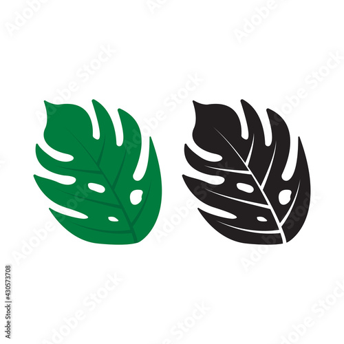 swiss cheese plant  ,set of green and black and green leaves , swiss cheese leaves vector , Monstera deliciosa vector 