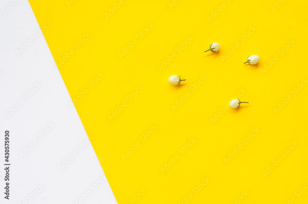 Fototapeta premium food - Thai Cooking ingredients . pattern on white and Yellow background.