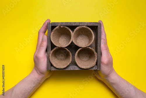 Fflower pots in the wooden box in the gardener hands on the yellow flat lay background. photo