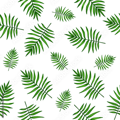seamless pattern with green leaves of tropical palm, white background