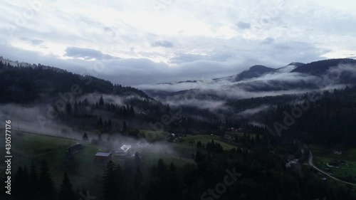 Flying Over Misty Forest at Carpathian Mountains. Wood fog nature wild mist magic dark morning. Rain weather mountains misty fog pine tree forest. Mountain village Dzembronya, Ukraine. High contrast.